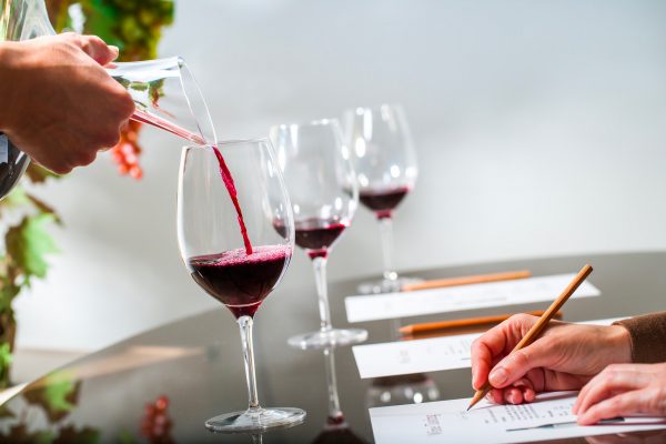 Dégustation à domicile : Les essentiels pour révéler toute la magie de vos vins