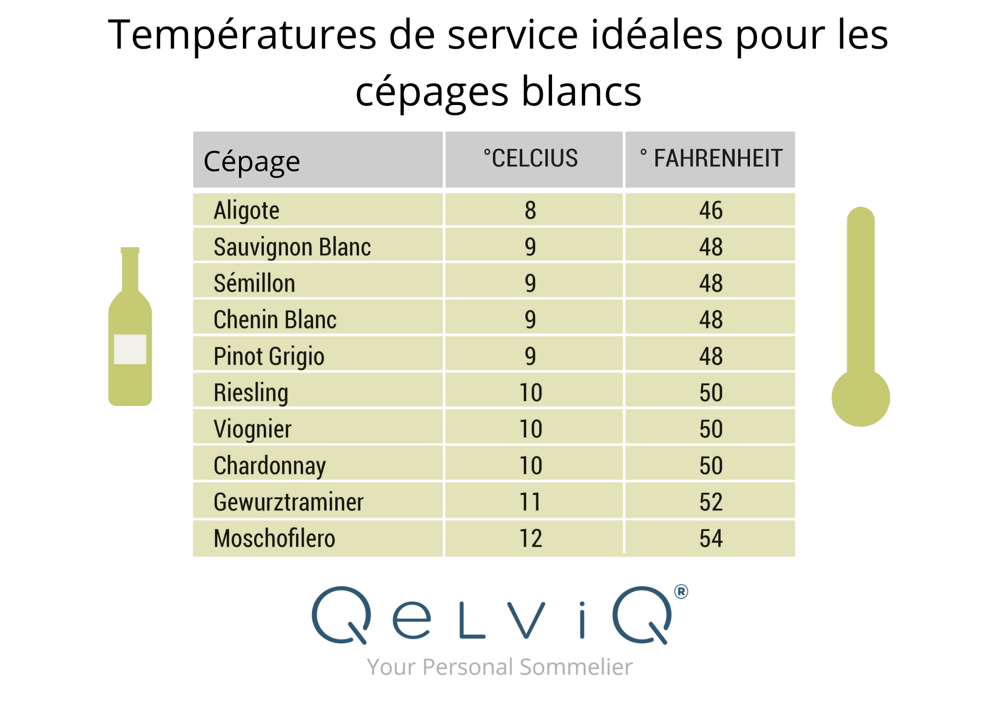 Guide essentiel pour sélectionner et commander le vin idéal pour vos repas, dégustations et cave personnelle