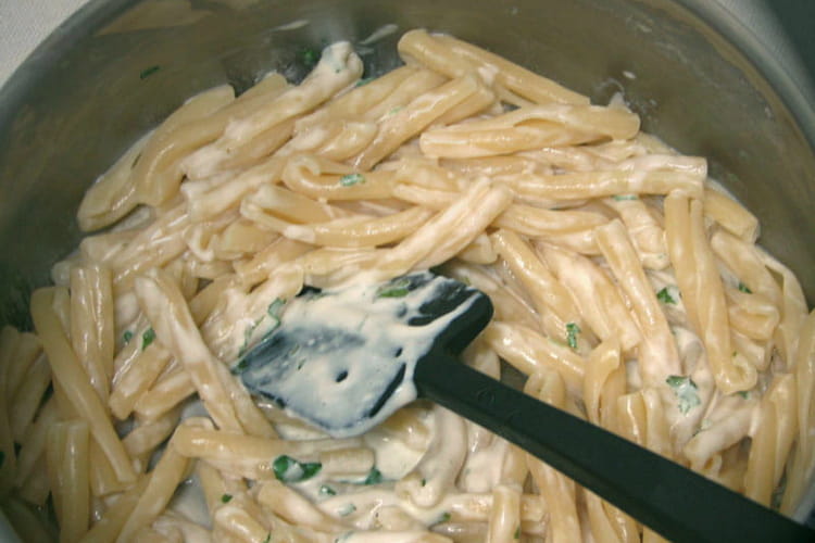 Recettes de Sauces pour Pâtes : Un Voyage Culinaire entre Rapidité, Traditions Italiennes et Créativité