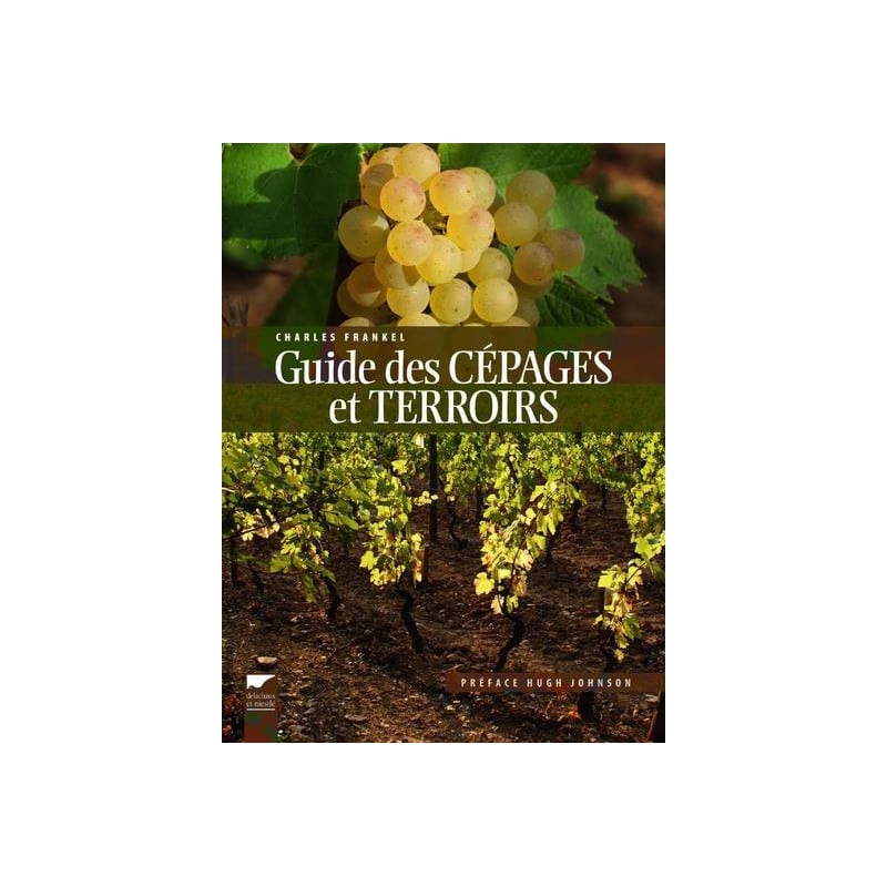 Vin blanc d’Alsace : le guide complet pour comprendre cépages, styles et terroirs